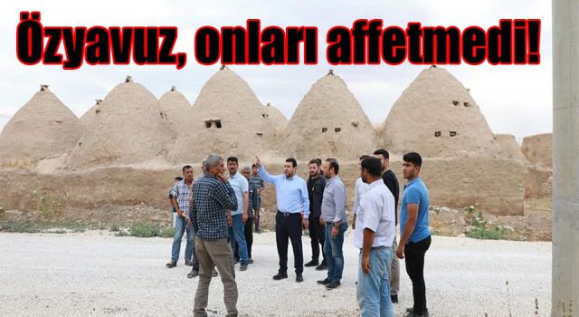 Harran'da o evler yıkılıyor