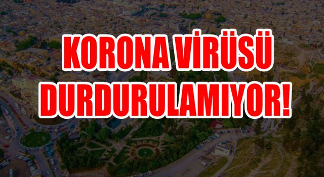 Urfa’da korkutan rakamlar!