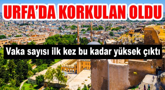 Urfa’da normalleşmenin faturası ağır oldu