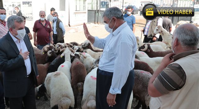 Beyazgül, Hayvan Borsası esnafını ziyaret etti