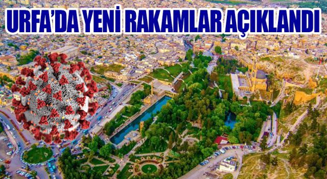 Urfa'da korona korkutucu şekilde yayılıyor