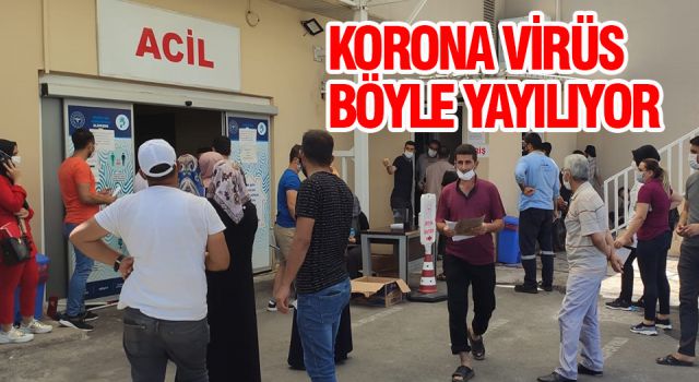 Urfa'da korona testi için kuyruk oluşuyor