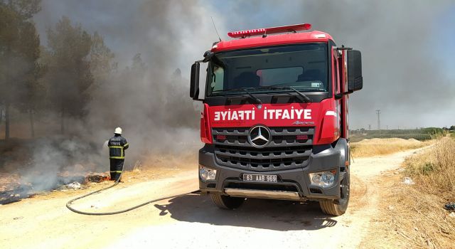 Urfa'da ormanda yangın çıktı