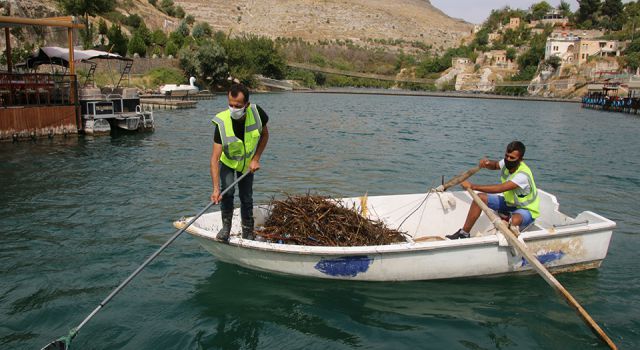 Halfeti'de su üstünde temizlik yapıldı