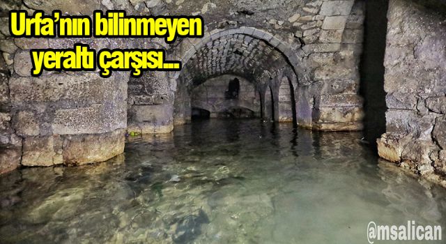 Bu fotoğraf Urfa'da çekildi!