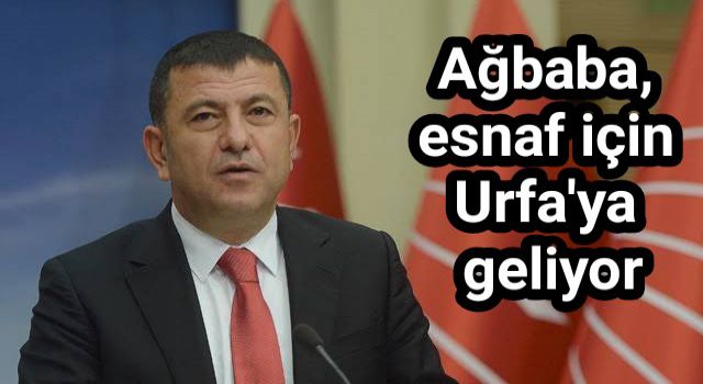 Veli Ağbaba Urfa'ya geliyor