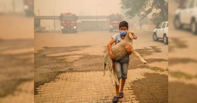 Urfalı çocuk yangının simgelerinden biri oldu