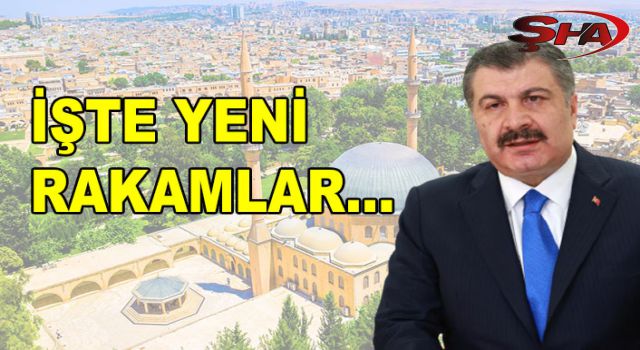 Bakan Koca açıkladı! Urfa için sevindiren tablo...