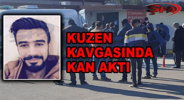 Urfa’da dehşet! Kuzenini öldürdü