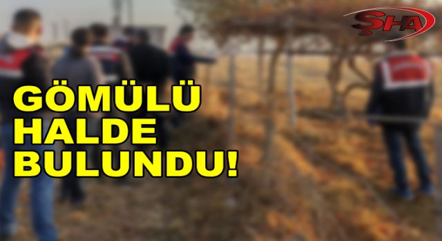 Urfa’da kazılan toprağın altından çıkanlar şoke etti!