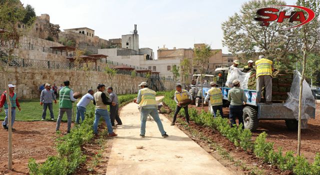 BÜYÜKŞEHİR’DEN KIZILKOYUN NEKROPOL ALANINDA YENİ YEŞİL ALAN