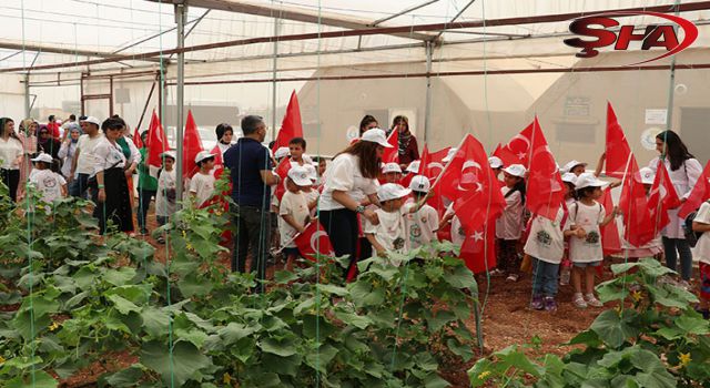 Haliliye’de “Çevre Günü” etkinliklerle dolu dolu geçti 