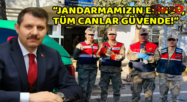 Urfa'da jandarma ekipleri buldu!