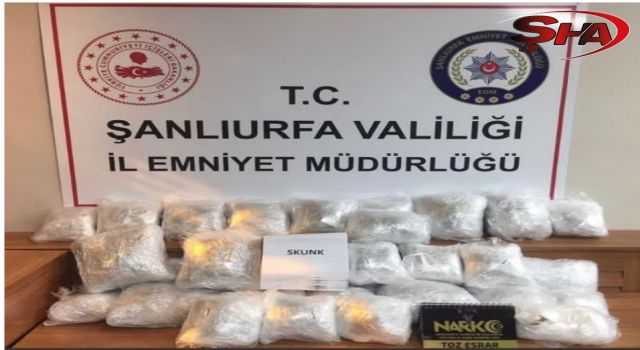 Urfa'da kilolarca skunk ele geçirildi