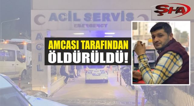 Urfa’da fıstık tarlasında cinayet! Yeğenini öldürdü