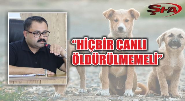 Başkan İnan’dan Sokak Hayvanları Yasasına Tepki!