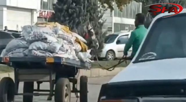 Urfa’da ata işkence cezasız kalmadı!