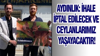 Beklenen hamle Aydınlık’tan geldi