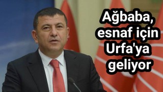 Veli Ağbaba Urfa'ya geliyor