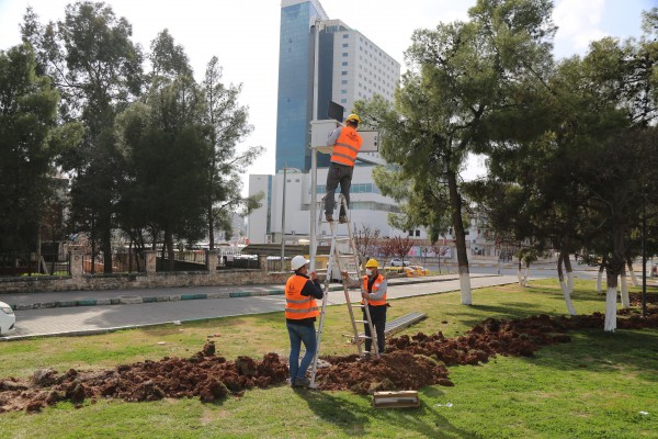 Haliliye'de park çalışmaları devam ediyor