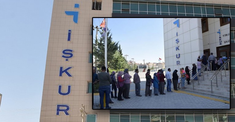 6 kişilik iş ilanına binlerce başvuru geldi