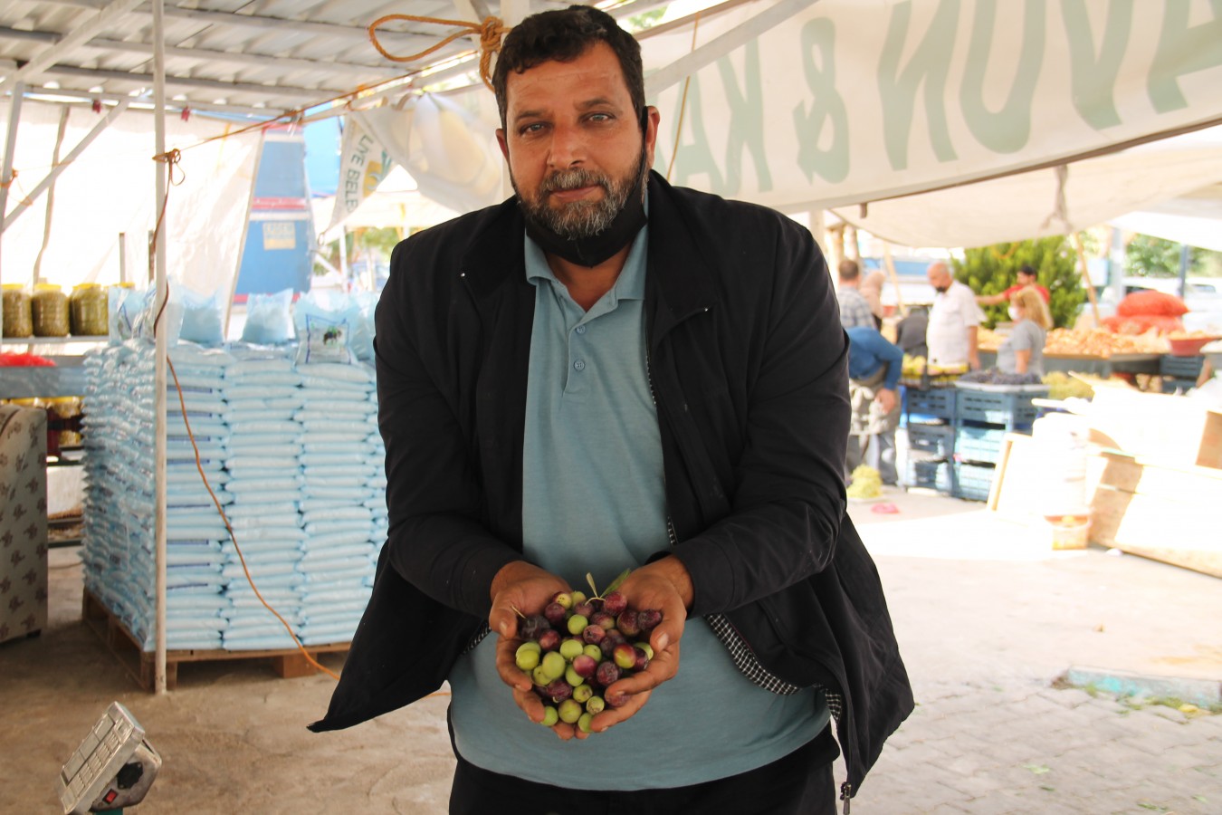 Şanlıurfa'da yeni mahsul zeytinler tezgahta