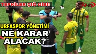 Urfaspor taraftarları, Erkan Kaş'a patladı!