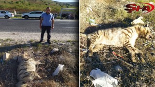 Urfa’da ölü bulundu!