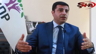 Demirtaş'tan hem partisine hem de muhalefete çağrı