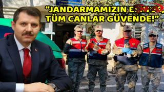 Urfa'da jandarma ekipleri buldu!