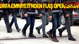 Urfa'da operasyon! Çok sayıda gözaltı var