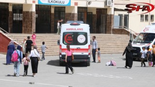 Urfa’da doğum günü pastası 15 öğrenciyi hastanelik etti