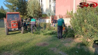 Viranşehir’de kışa hazırlık: Ağaçlar budanıyor