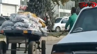 Urfa’da ata işkence cezasız kalmadı!